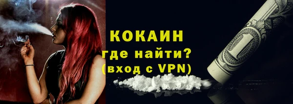твердый Вяземский