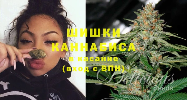 PSILOCYBIN Вязники