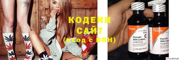 твердый Вяземский