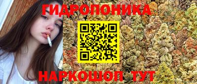 a pvp Бийск