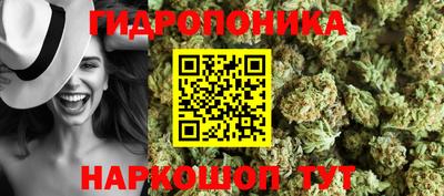 шишки Волжск