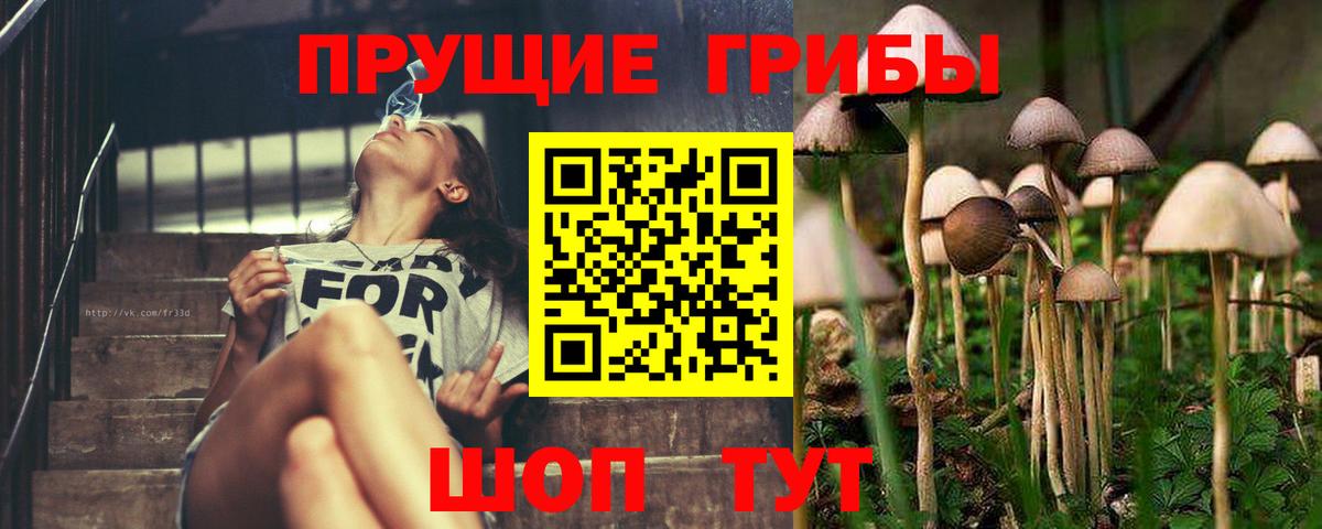 Псилоцибиновые грибы мицелий Гагарин